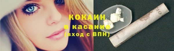 молекула духа Тайга