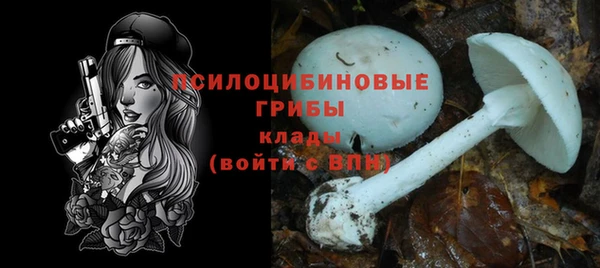 спиды Дмитров