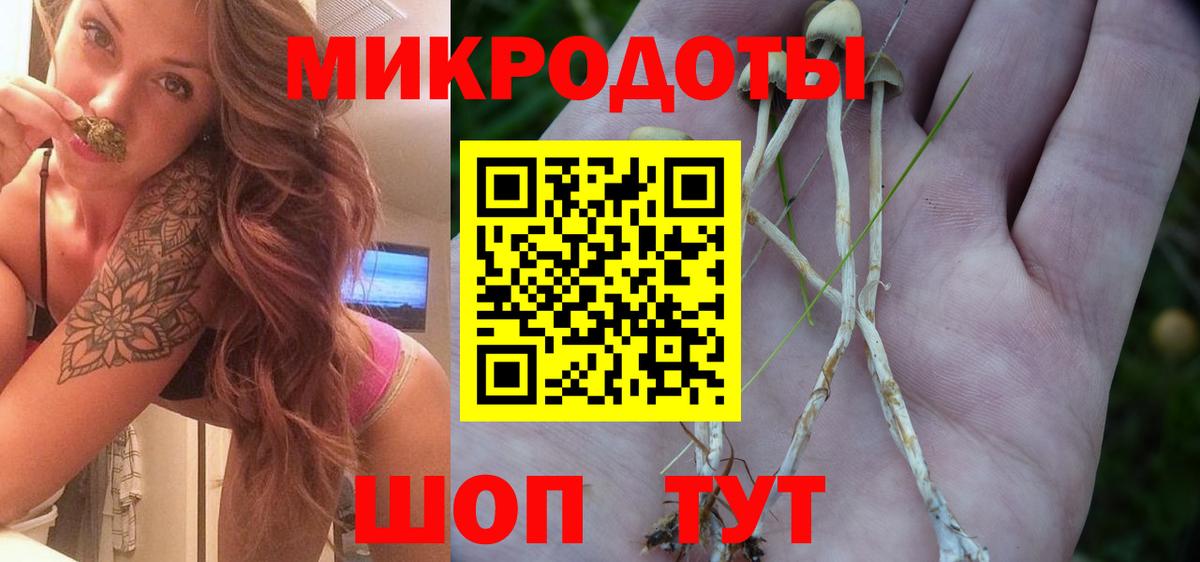 Мценск  Галлюциногенные грибы Cubensis  купить наркоту  Вход с VPN 